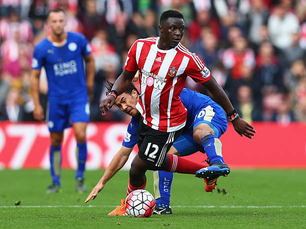 了众多的赞 了众多的赞