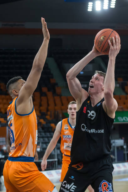 俨然已成为 俨然已成为